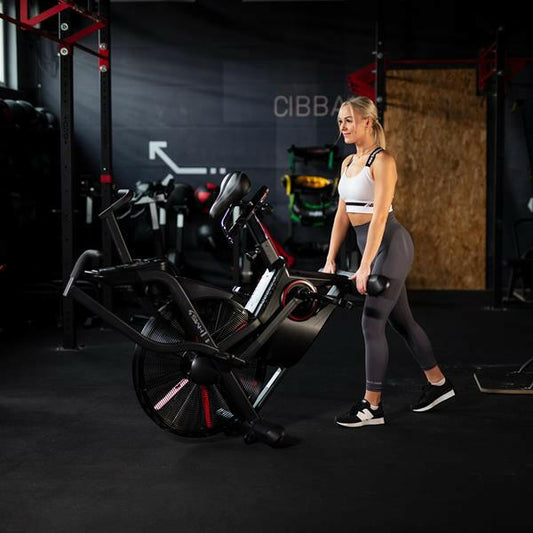 MP5420 Stationaire Airbike HMS