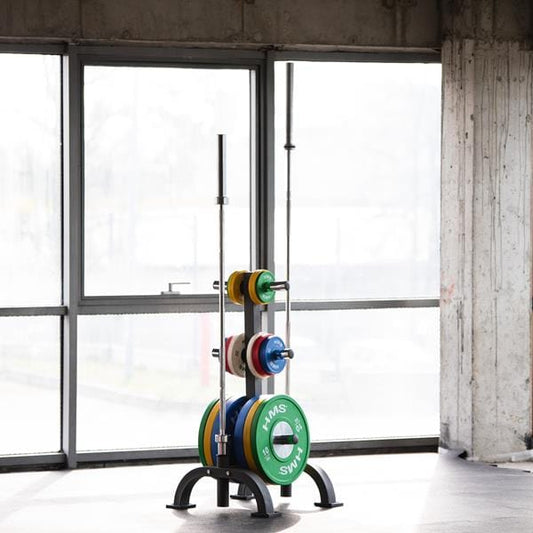 Standaard voor Halterschijven en Olympische Stangen