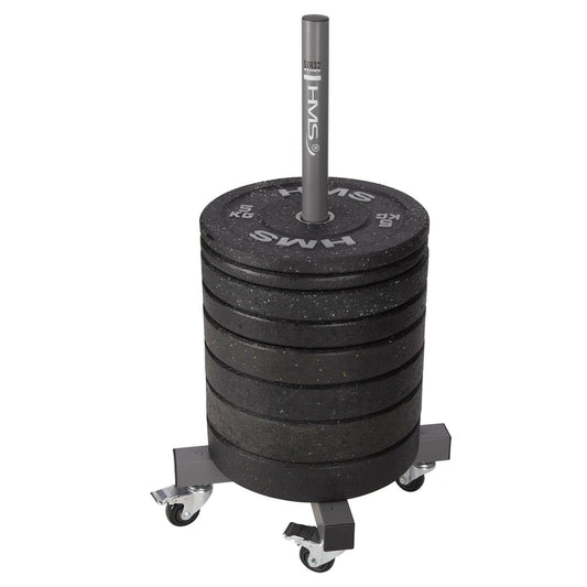 Weight Plate Rack Commercial