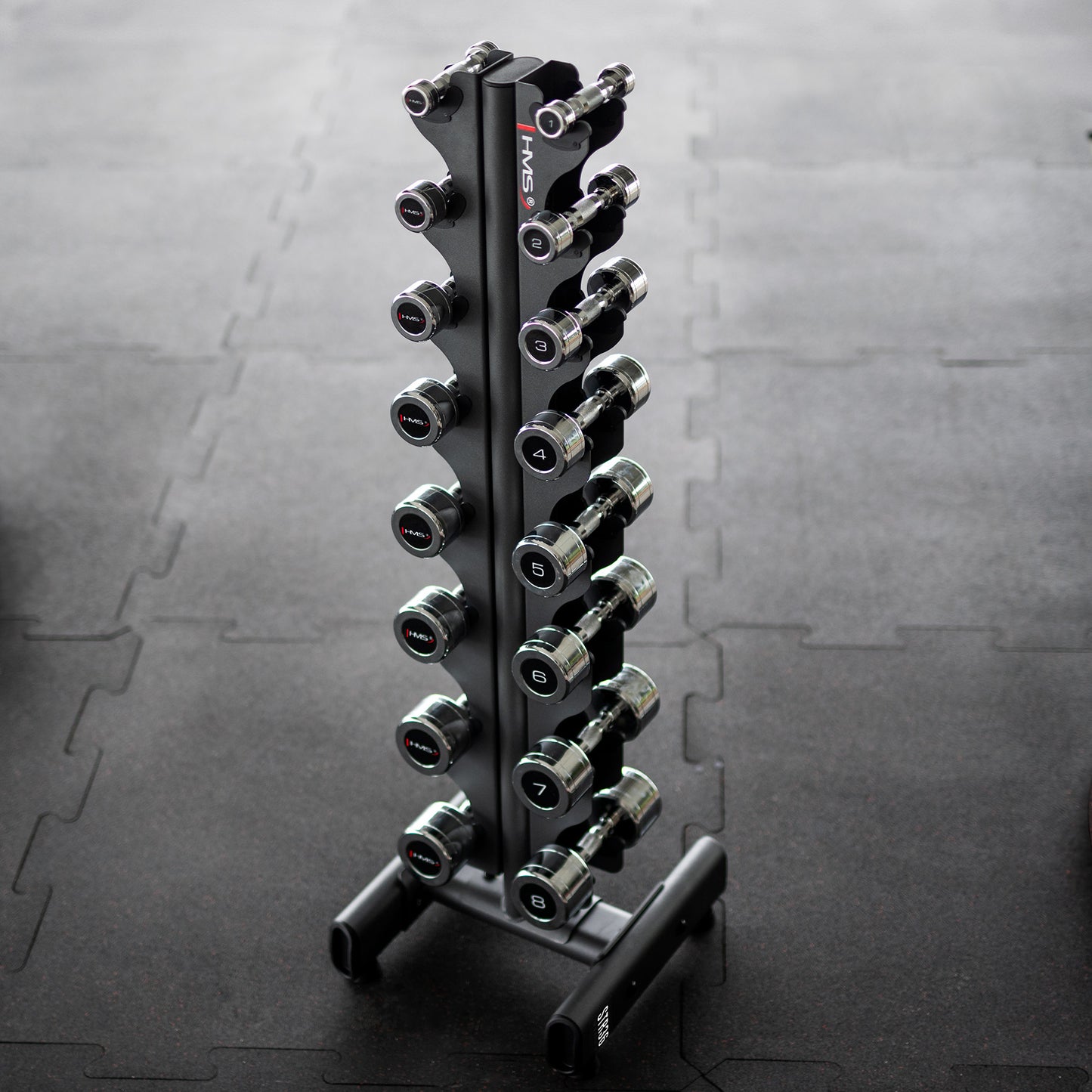 Set Chrome Dumbbells CHD 2 x 1 - 8 KG + Rack HMS - Next Balance