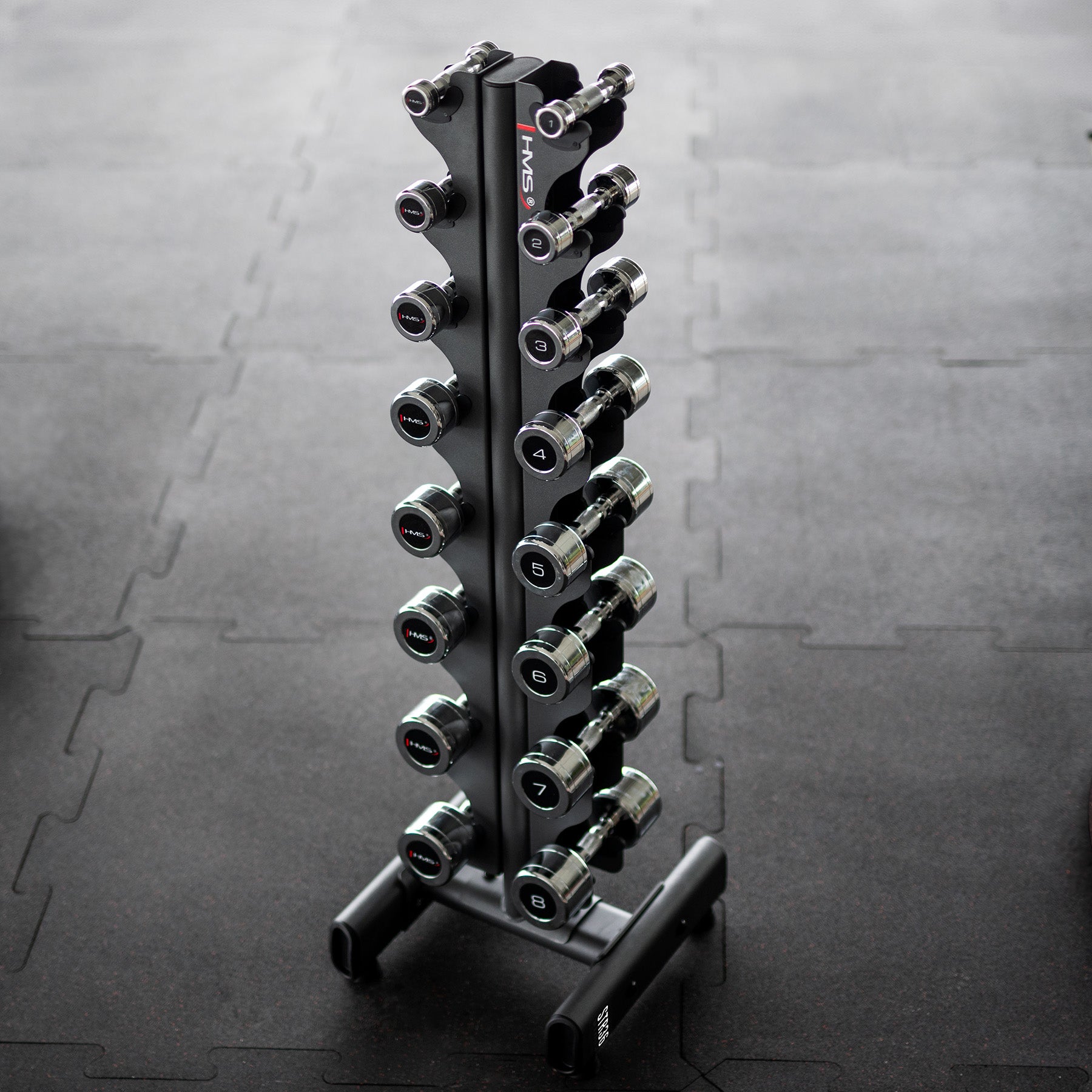 Set Chrome Dumbbells CHD 2 x 1 - 8 KG + Rack HMS - Next Balance