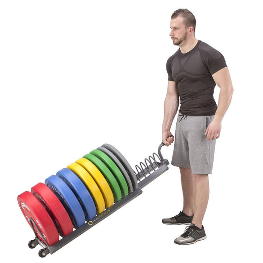 Weight Plate Rack HMS